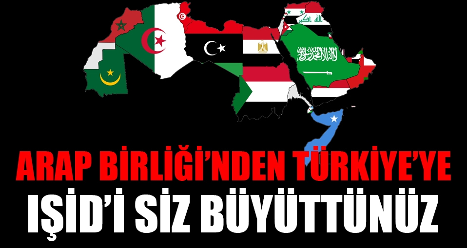 Arap Birliği'nden Türkiye'ye: IŞİD'i siz büyüttünüz!