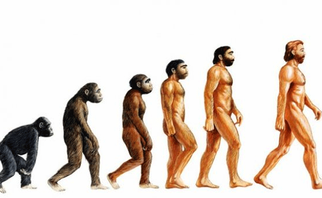 Modern insanın en son o uzvu evrildi
