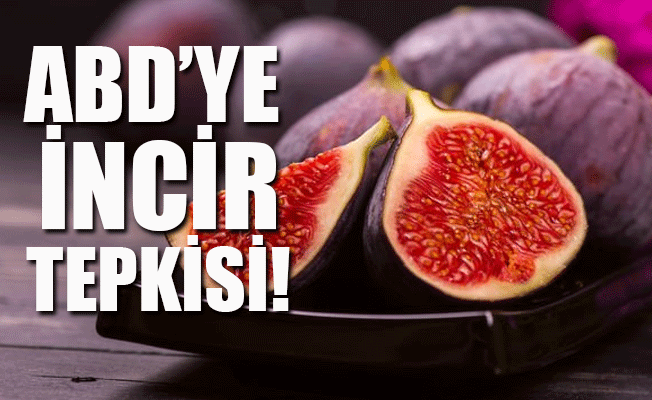 İncir ihracatı Türk ve Çin parası üzerinden yapılacak!