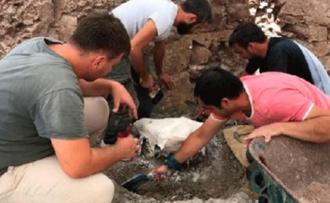 Heyecanlandıran fosil: Tam 8.5 milyon yıllık...