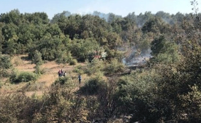 Bursa'da korkutan orman yangını