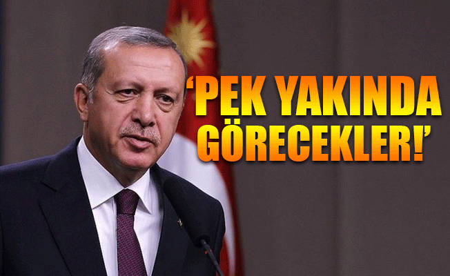 Cumhurbaşkanı Erdoğan'dan açıklama: Bayrağımıza saldırıdan farkı yok