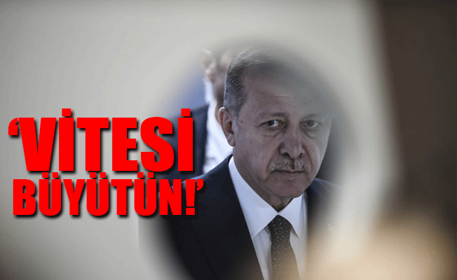 Erdoğan yerel seçimler için talimat verdi! Öncelik o illerde...