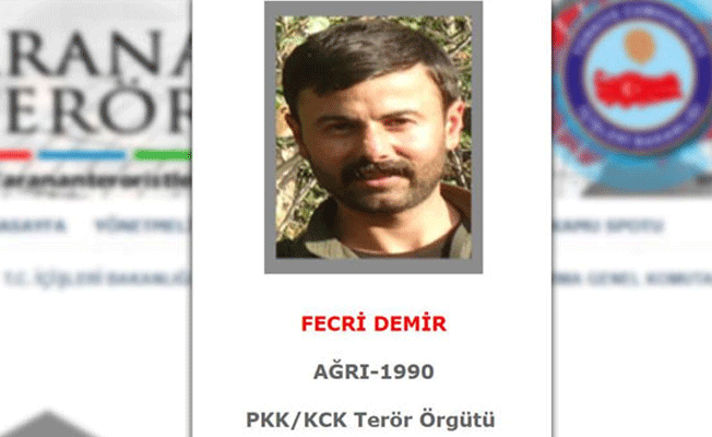 TSK duyurdu! Gri listede yer alan terörist Fecri Demir öldürüldü
