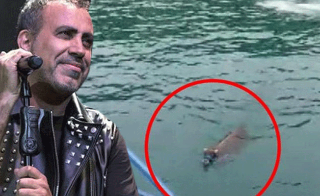 Haluk Levent Türkiye'nin gündemine oturan danayı satın aldı