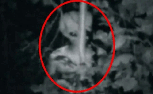 ABD'nin gizli üssü Area 51 esrarını halen koruyor! İçinde ne var?