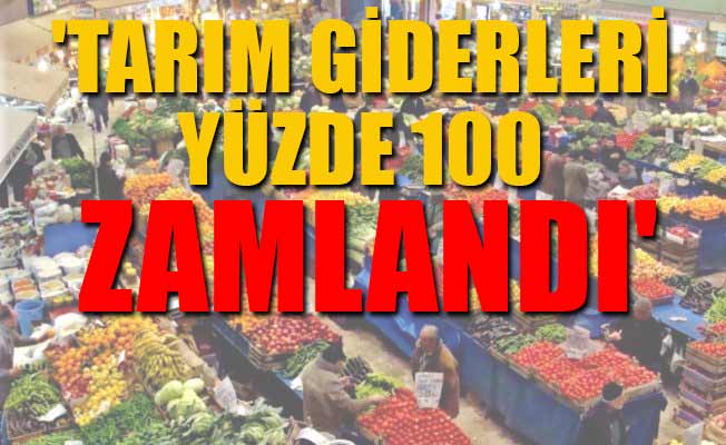 'Yeni sezonda ucuz sebze-meyve hayal'