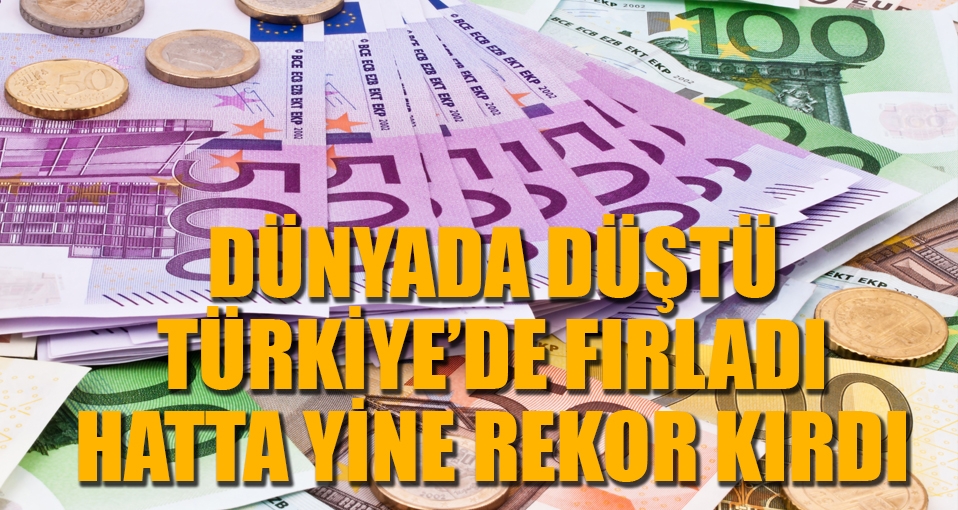 Euro dünyada düştü, Türkiye'de yine rekor kırdı