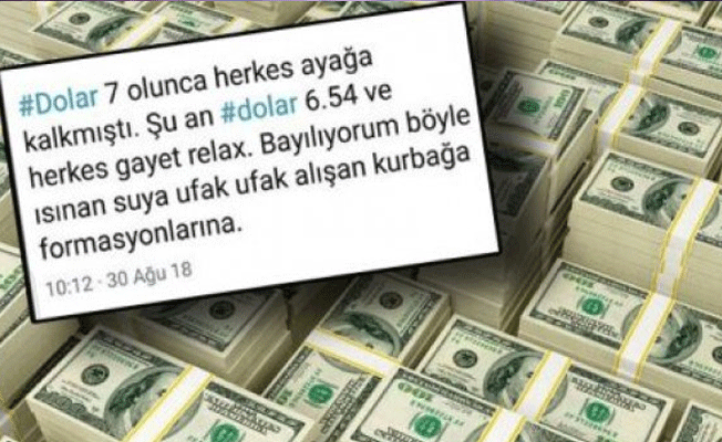 O ünlüden dolar paylaşımı: İyiye gitmiyor...