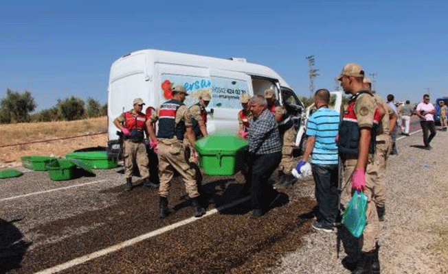 Katliam gibi kaza: Çok sayıda ölü ve yaralı var