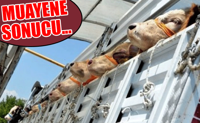 Şarbonla ilgili tarih verildi
