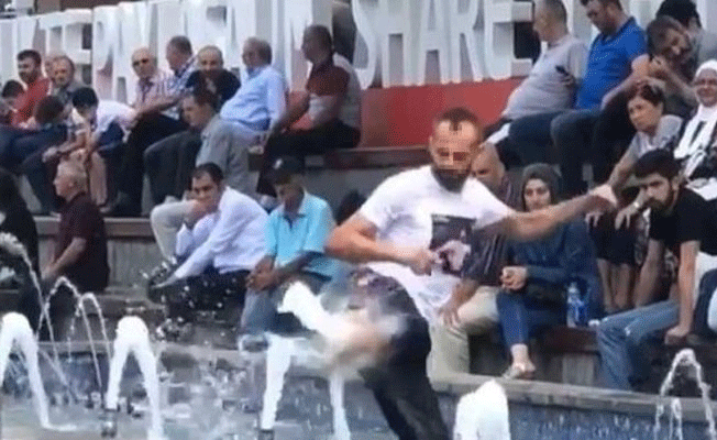 İlginç görüntü: Süs havuzunda karate