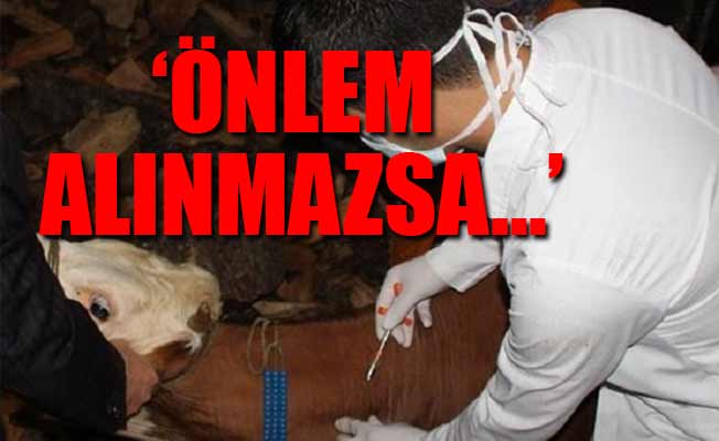 CHP'den şarbon açıklaması
