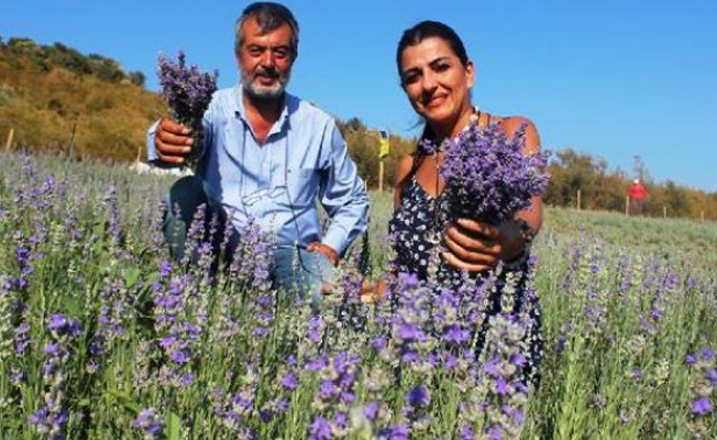 Hobi olarak yetiştirdi, kilosunu 100 Euro'ya satıyor