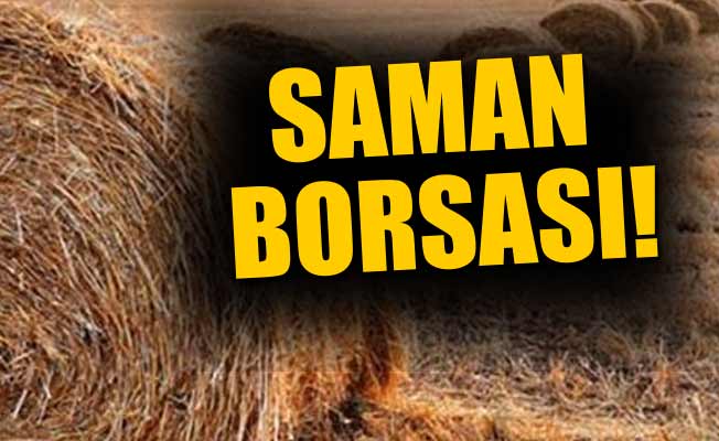 Kriz yeni sektörünü oluşturdu!