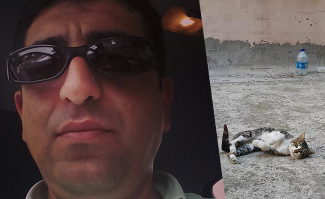 Yöneticiden hayvanseverleri kızdıracak karar: Görsel kirlilik...