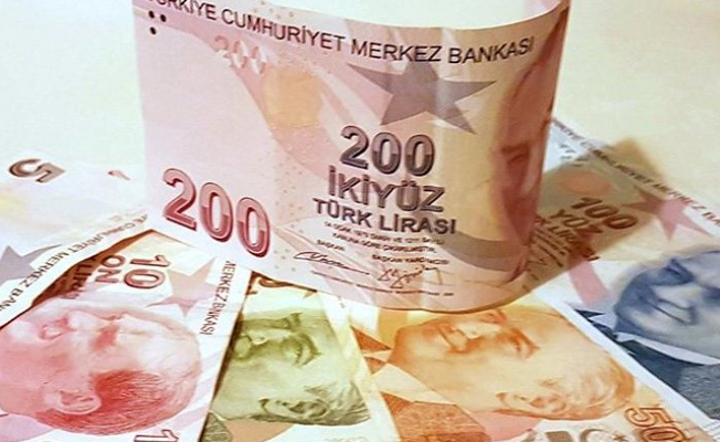 'Türk Lirası'nda kayıp sürecek'