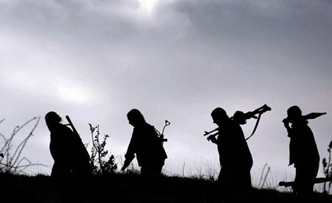 Kırmızı listede aranan PKK'lı Bulgaristan'da yakalandı