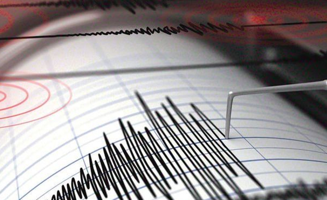 Japonya'da 6,6 büyüklüğünde deprem