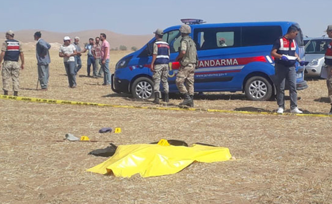 Koyun otlatma kavgası: 1 ölü, 2 ağır yaralı