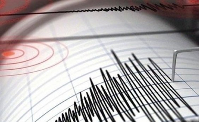 Ege'de yaşanan deprem korkuttu