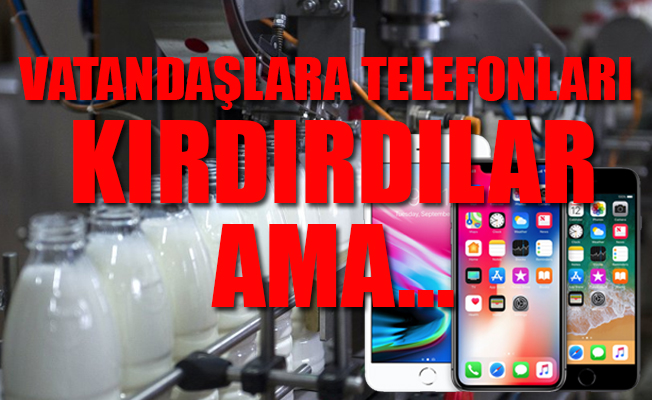 Türkiye, ABD'den süt ürünleri ithal etmeye başlayacak