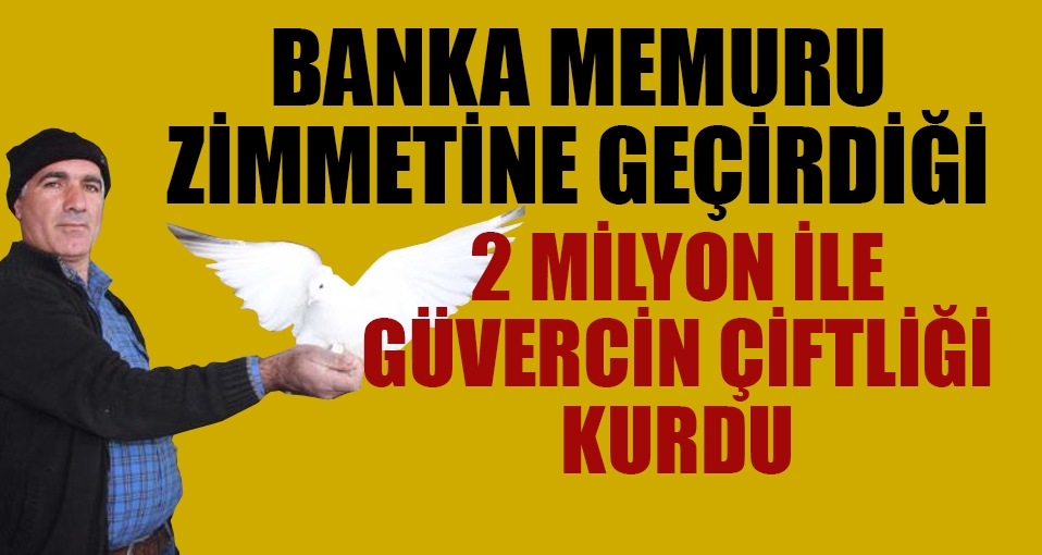 Zimmetine geçirdiği 2 milyon TL ile güvercin çiftliği kurdu