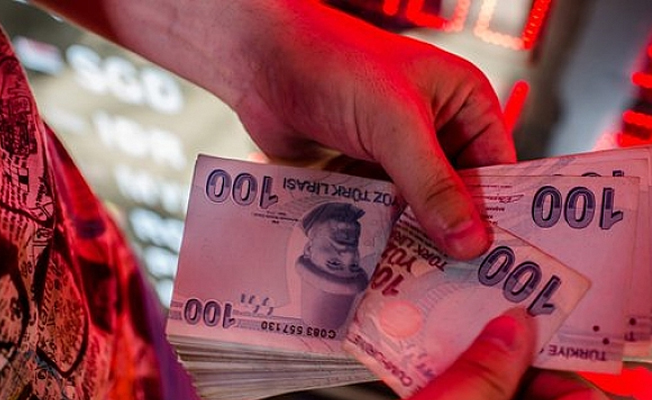 Ekonomi profesörüden krizden en az hasarla çıkmak için Türkiye'ye tüyolar