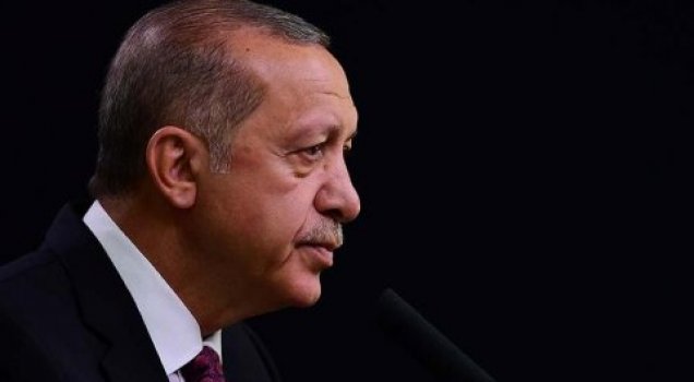 Erdoğan'ı kızdıracak yazı