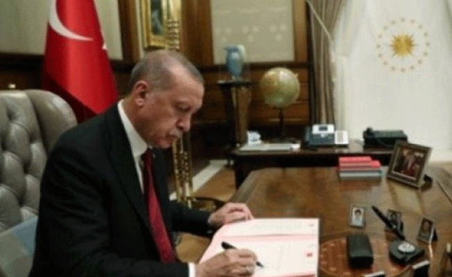 Erdoğan'ın yeni danışmanı özgeçmişini neden saklıyor?