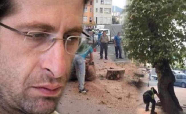 Çınarın kesilmesini haber yapan gazeteci emniyete çağrıldı