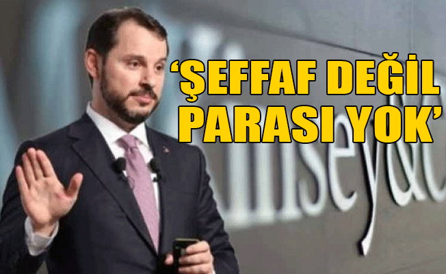 McKinsey Türkiye'de ne yapacak?