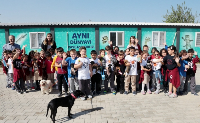 Bornova sokak hayvanları için de sıcak bir yuva