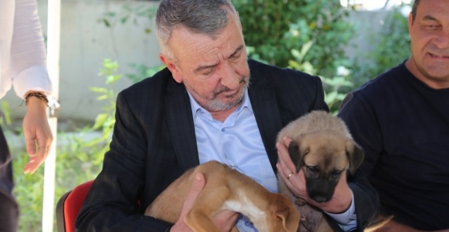 Başkan Şenol: Satın alma, sahiplen!