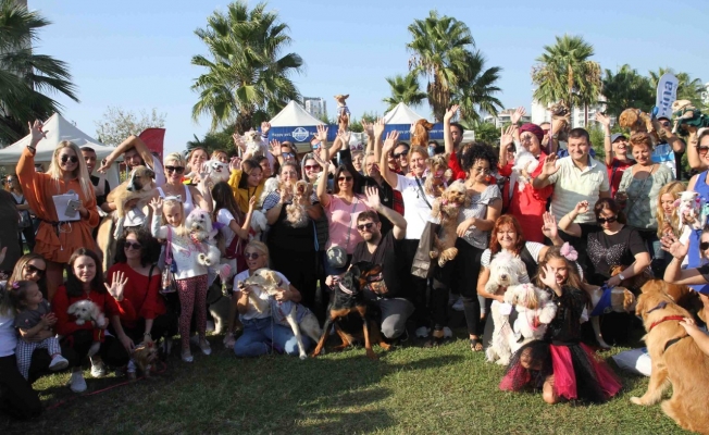 Hayvanseverler Pati Festivali’nde buluştu