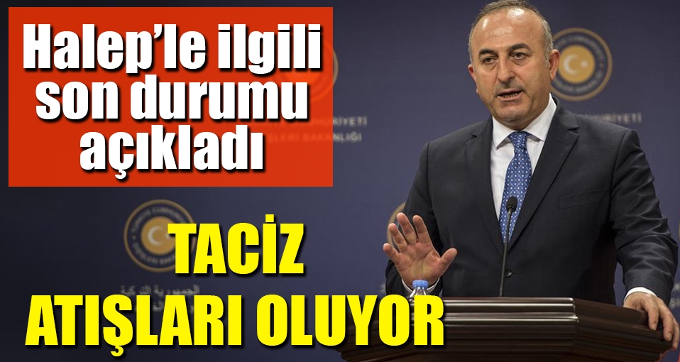 Halep'le ilgili son durumu açıkladı: Taciz atışları oluyor