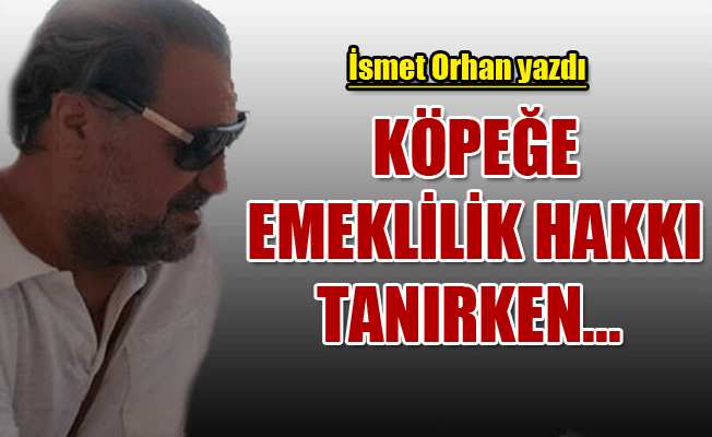 Köpek