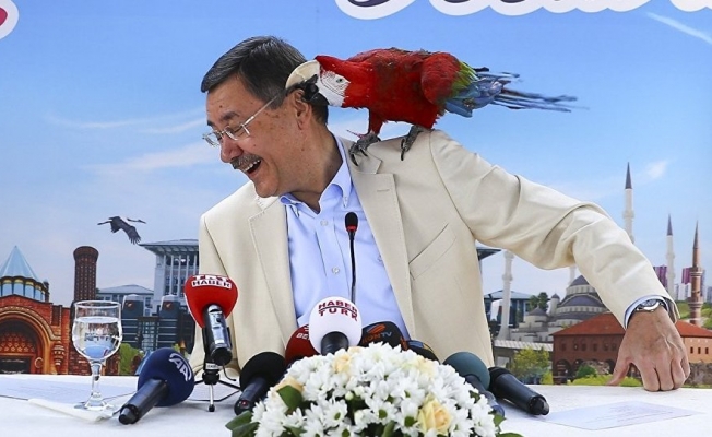 Gökçek'e soruşturma şoku