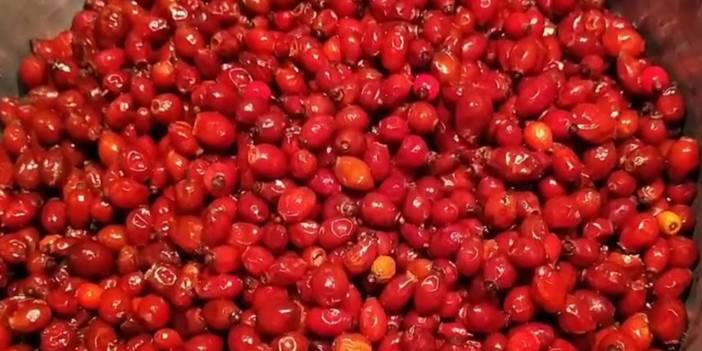 Limondan 60 kat daha fazla C vitamini içeriyormuş! Kış aylarının şifacısı