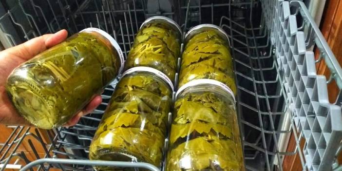 Salamura asma yaprağına bir tutam ekleyin, asla bozulma olmuyor