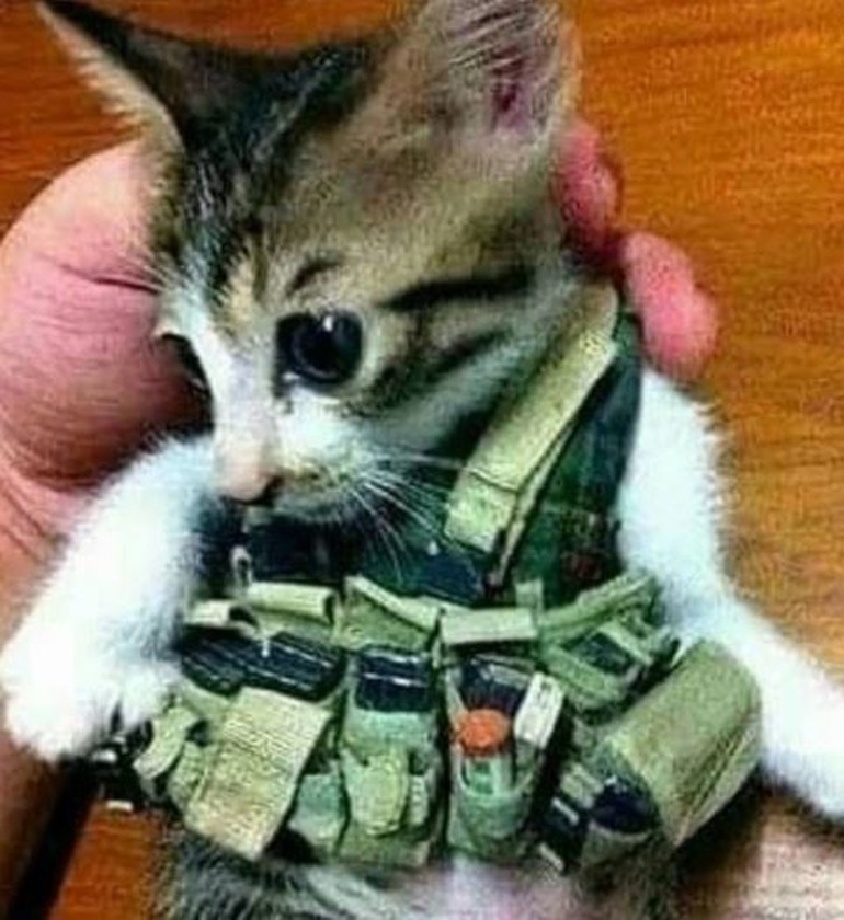  Çıplak model IŞİD'e mi katıldı?