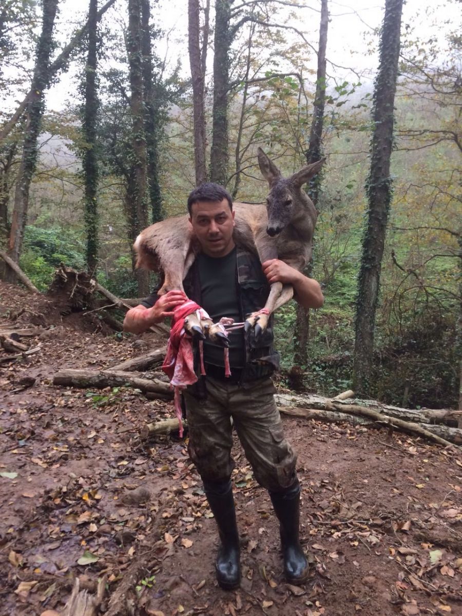 Kuş avına gitti, yaralı karacanın hayatını kurtardı
