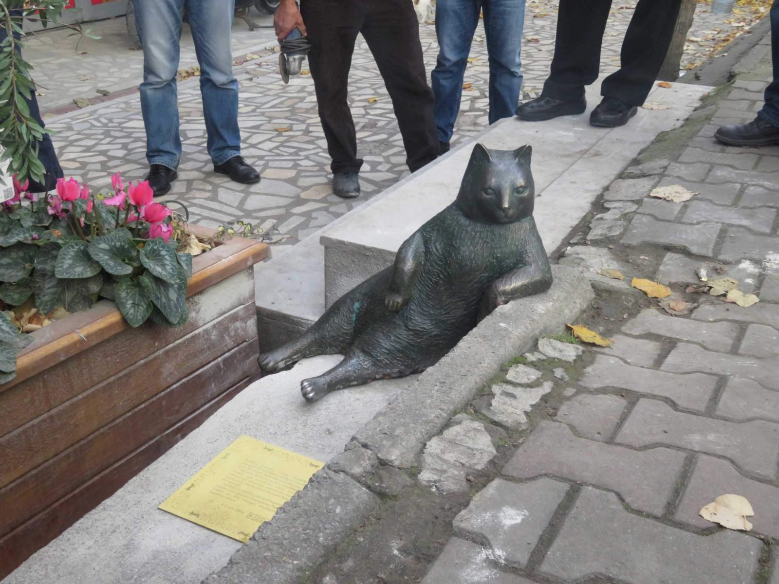 Tombili geri geldi