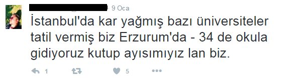 Erzurum'luların isyanı: Bizim çocuklar kutup ayısı mı?