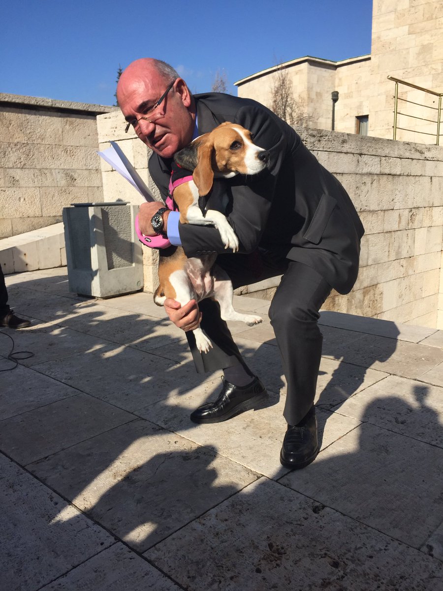 Hayvan fobili AKP'li vekile CHP'li Tanal'dan köpekli mesaj...