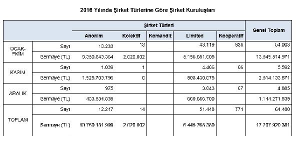 Türkiye'de 2016'da kurulan yabancı sermayeli şirketlerin yüzde 40'ı ...