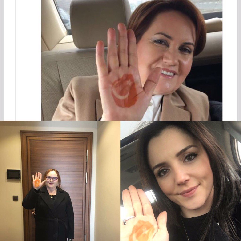  Meral Akşener'den, Bahçeli'ye 3 kelimelik yanıt