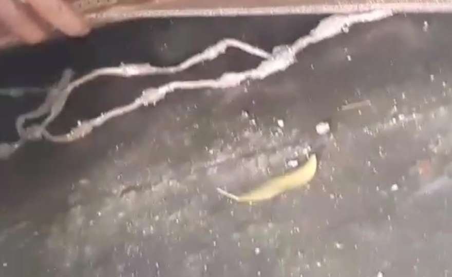 YPG'lilerden akıl almaz tuzak... Son anda farkedildi