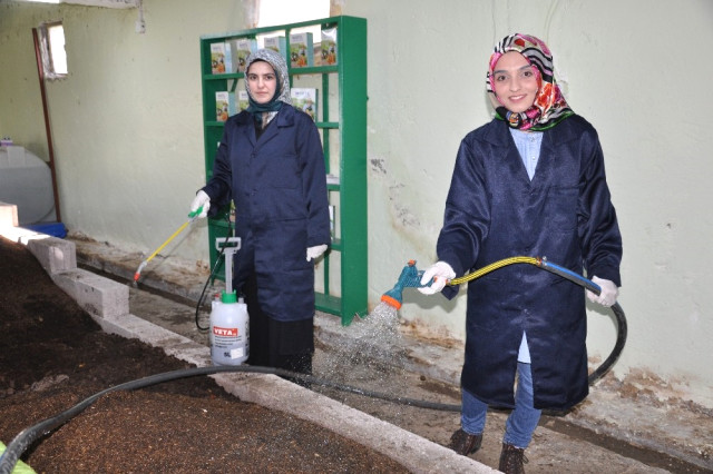 Bileziklerini satıp solucan çiftliği kurdular