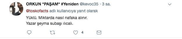 Kitap çıkaracağını açıklayan Şeyma Subaşı, sosyal medyada alay konusu oldu